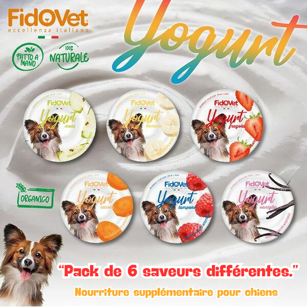Yaourt pour Chien